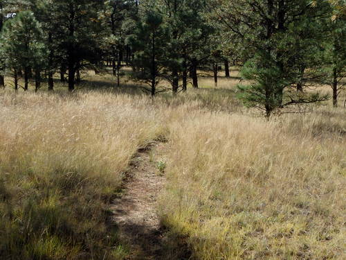 GDMBR: This is a photograph of the actual Continental Divide Trail.